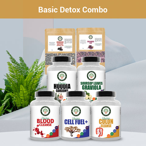 Bio Mineral Remedies - Basic Detox Combo