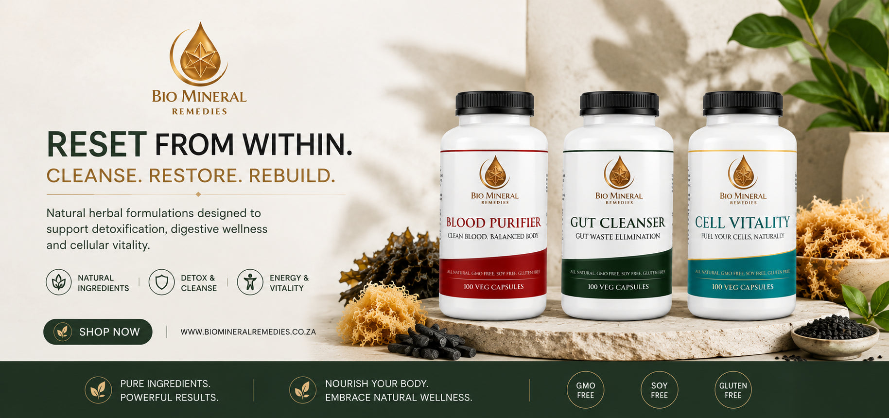 Bio Mineral Remedies